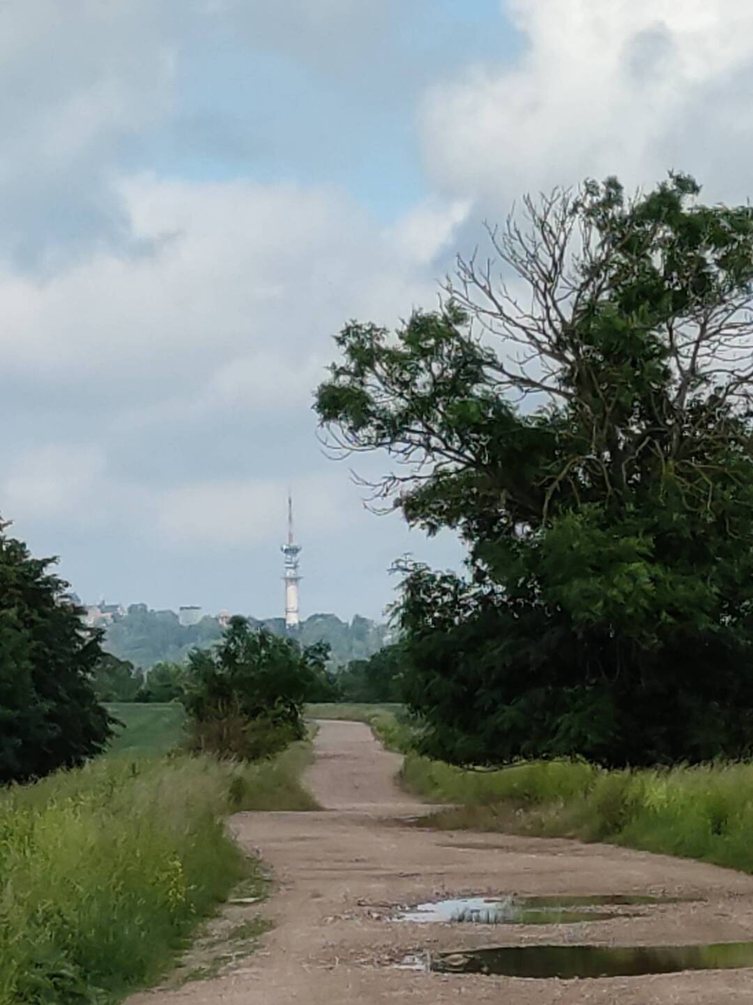 unser Ziel, der Petersberg