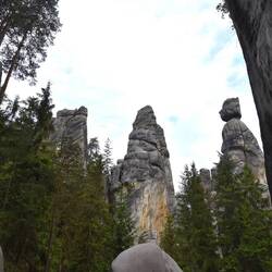 rechts die Präsidentin und links der President