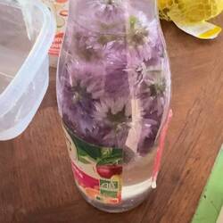 Selbstgemachter Essig