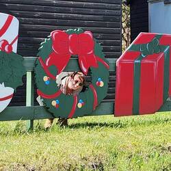 Laura goofing around