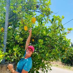 Fast so groß wie mein Kopf 🍋🤪