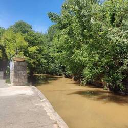 Durch den Campingplatz fließt ein Bach mit quälenden Fröschen