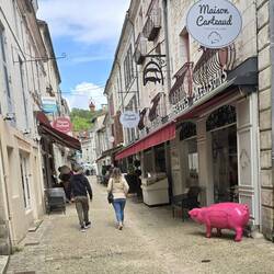 Niska got freaked out by the pig! Several french couples helped out by standing in front