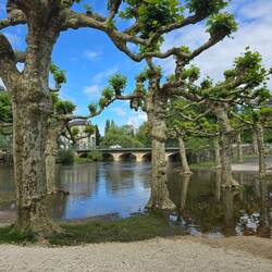 The river was very high and flooded the park in places