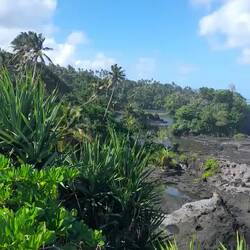 Küste geprägt vom Lavagestein.