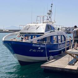 Wal- und Delfinbeobachtung in der Straße von Gibraltar