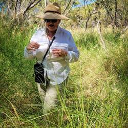 Hiking through vegetation to reach the Wandjina rock art site — Wollaston Bay ... Kimberley, WA.