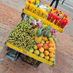 Vorne links: Mamoncillo, süß-fruchtig mit relativ großem Kern ... sehr lecker