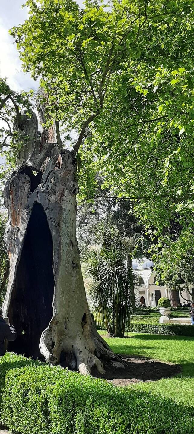 Topkapi Gardens