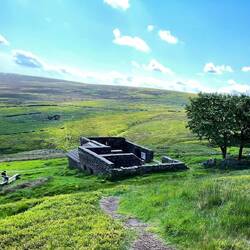 Top Withins from above