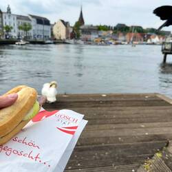 Fischbrötchen-Stop Flensburg