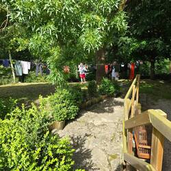Clothesline in the sun