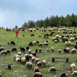 This shepherd really wanted us to take this picture