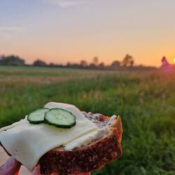 Käsebrot - Ist ein gutes Brot 🎼