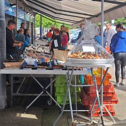 Kleiner aber feiner Fischmarkt