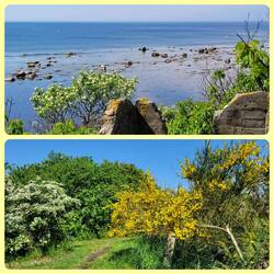 Blick auf die Ostsee