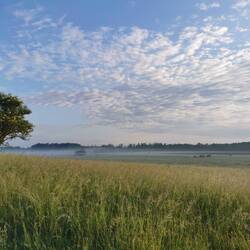 Sieht man den Mirgennebel noch ein bisschen?