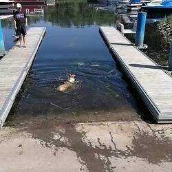 letztes Bad in Stolpe