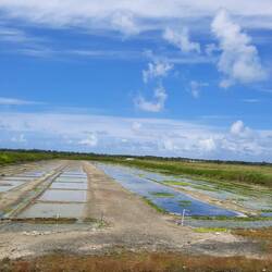 Réserve naturelle de Lilleau des Niges