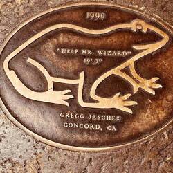 Welcher Frosch wird Jump-Chapion? Der hält immer noch den Weltrekord!