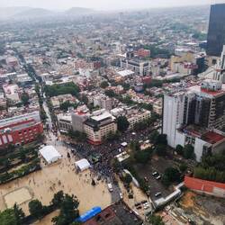 Das abendliche Konzert