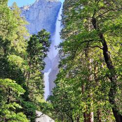Upper, middle (amidst the spray) and lower Yosemite Falls