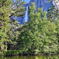Upper Yosemite Falls with the Merced River in the foreground