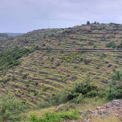 Old wall terraces which they have begun to save as historical sites