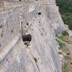 The fortresses defences