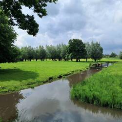 Ditches and water everywhere