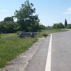 Eine Seltenheit: Rastplatz