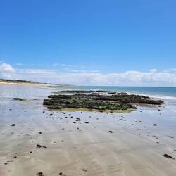 Plage des Follies