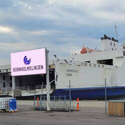 die Fähre nach Rügen, planmäßige Abfahrt 8:00 Uhr