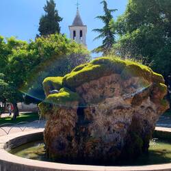 Ein Schildkrötenbrunnen!🤩