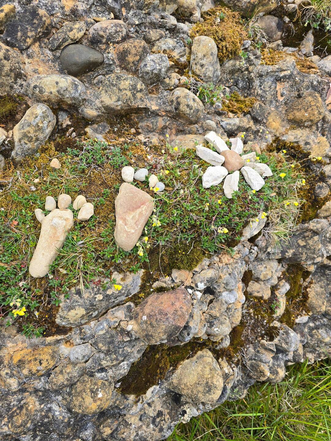 My friend spotted this in the way up to Alto del Perdon.... so cute!
