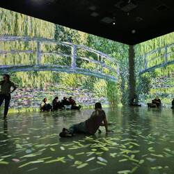 Me in Monet's Waterlily Pond