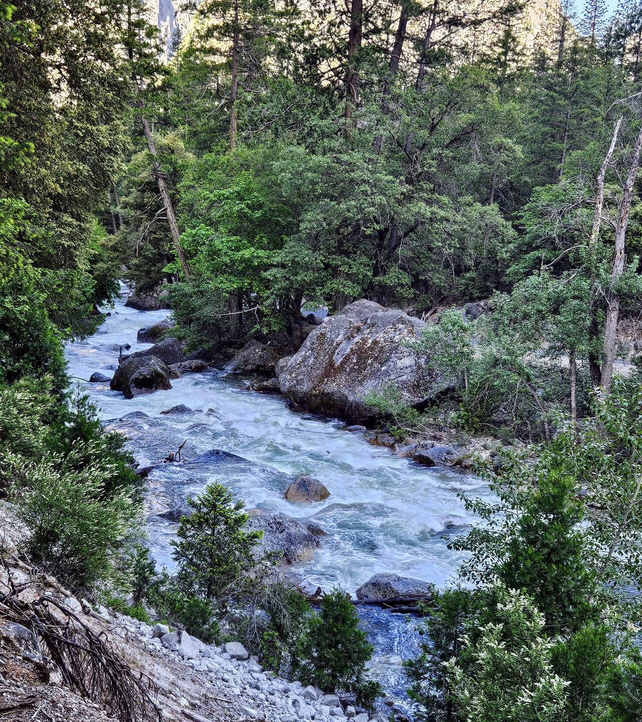 Rapids in Tenaya Creek