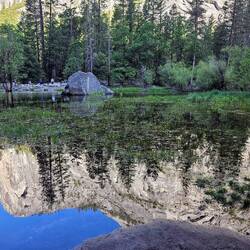 Reflection with vegetation in Mirror "Lake"