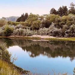 Russian River im Sonoma County