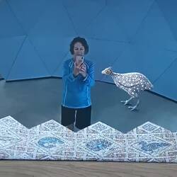 interactive display of mosaic birds, Plovdiv