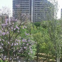 Das Haus soll wie ein Schiff aussehen, das den ehemaligen Fluss hinab fährt