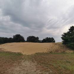 Binnendüne in Altwarp