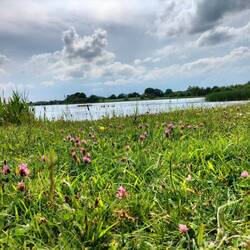 Badestelle Lürschau