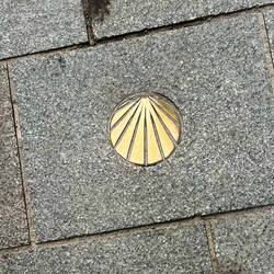 Our shell today