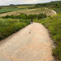 The rolling hills