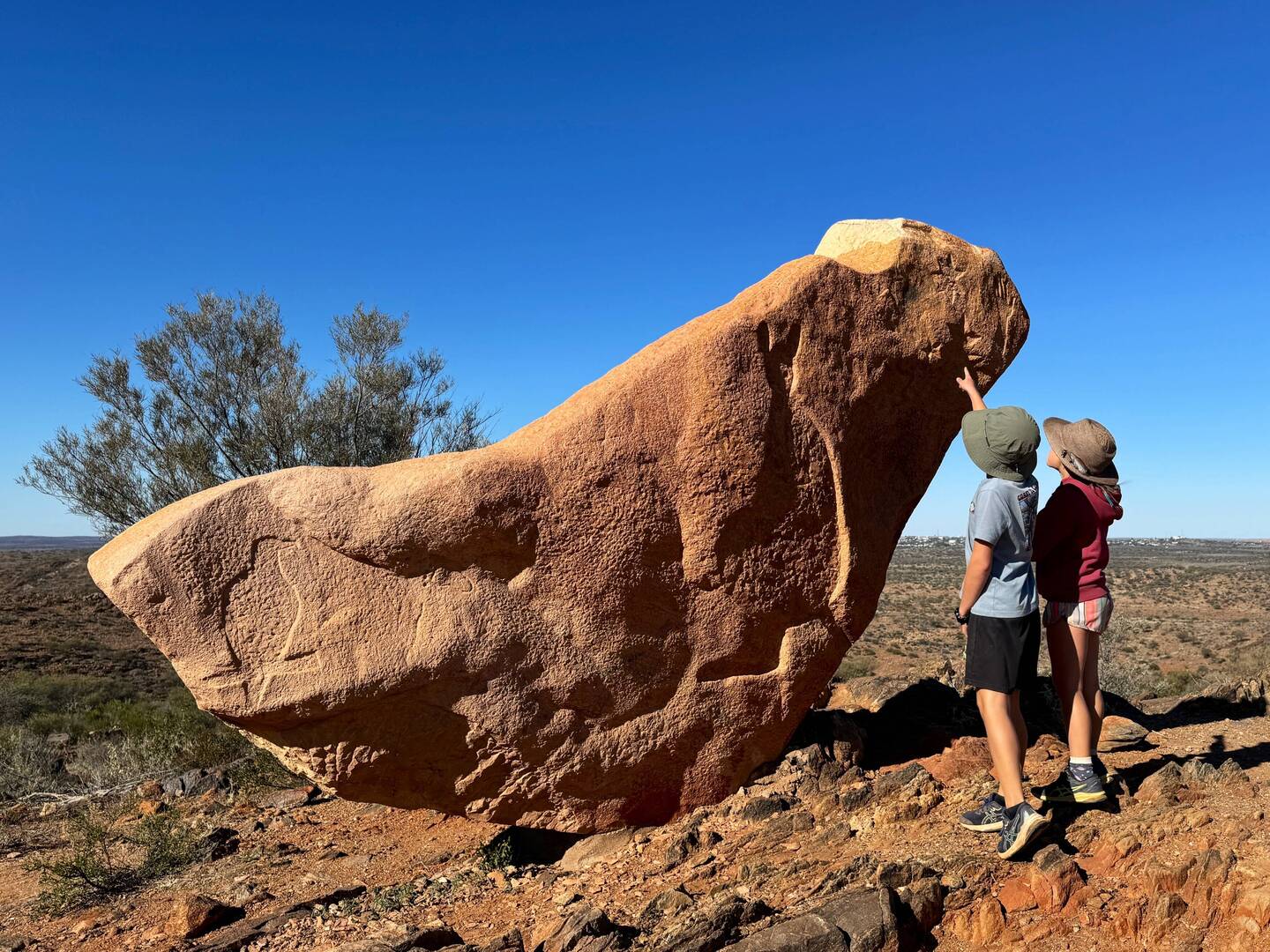 Living Desert sculptures