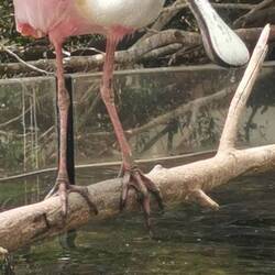 So einer hat mir auf den dicken Zeh gemacht - bringt das Glück?