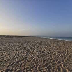 Und in der falschen Richtung