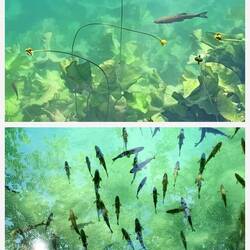 Angeln verboten!🤷‍♀️