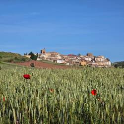 Picturesque village of 'Cirauqui' in the distance